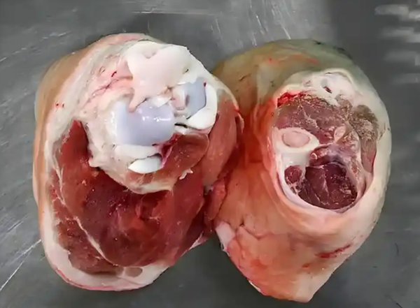 猪肘子