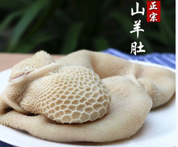 羊肚